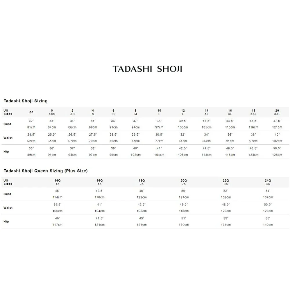 SALE NWT Tadashi CDY24229L Tulle Evening Dress Black Nude Size 6 - Picture 5 of 6